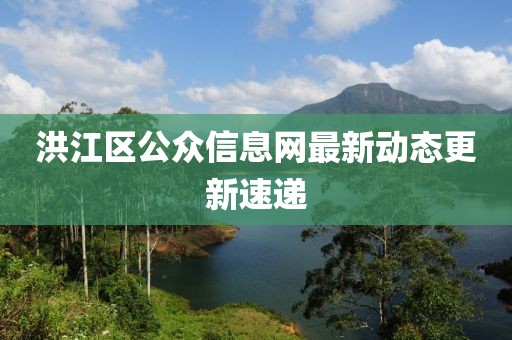 洪江区公众信息网最新动态更新速递