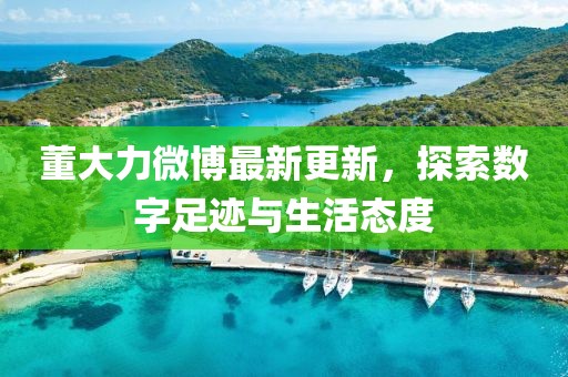 董大力微博最新更新，探索数字足迹与生活态度