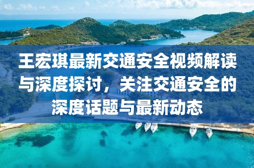 王宏琪最新交通安全视频解读与深度探讨，关注交通安全的深度话题与最新动态