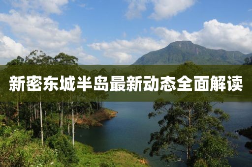 新密东城半岛最新动态全面解读