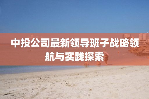 中投公司最新领导班子战略领航与实践探索
