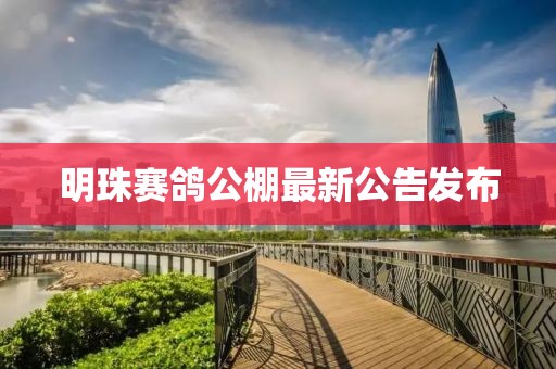 明珠赛鸽公棚最新公告发布