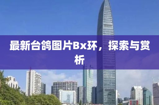 最新台鸽图片Bx环，探索与赏析