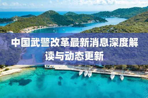 中国武警改革最新消息深度解读与动态更新