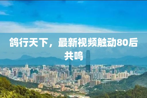 鸽行天下，最新视频触动80后共鸣