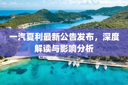 一汽夏利最新公告发布，深度解读与影响分析