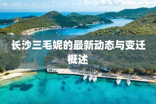 长沙三毛妮的最新动态与变迁概述