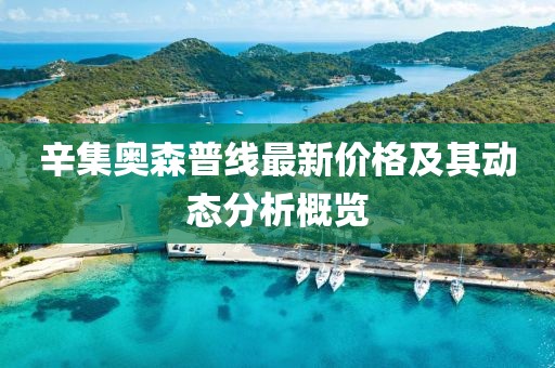 辛集奥森普线最新价格及其动态分析概览