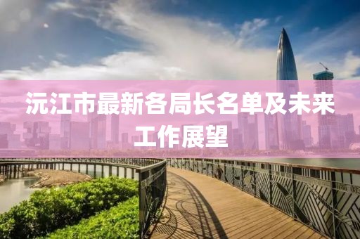 沅江市最新各局长名单及未来工作展望