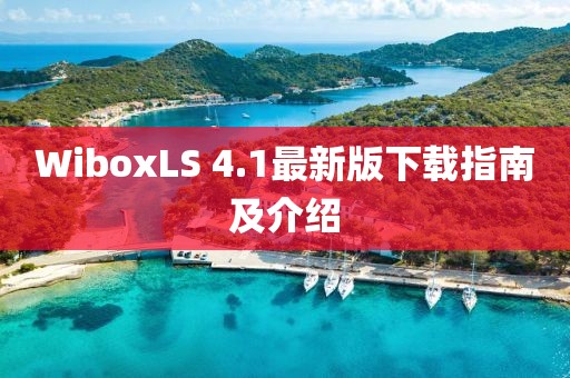 WiboxLS 4.1最新版下载指南及介绍