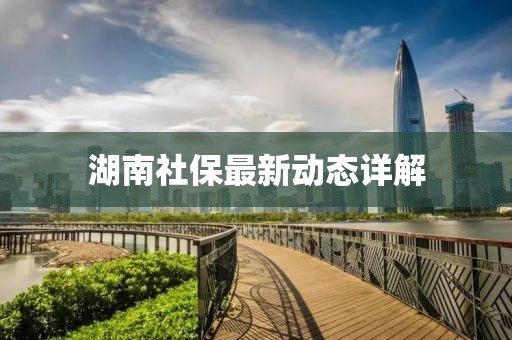 湖南社保最新动态详解
