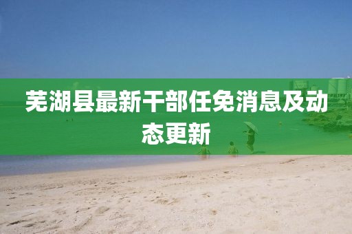 芜湖县最新干部任免消息及动态更新