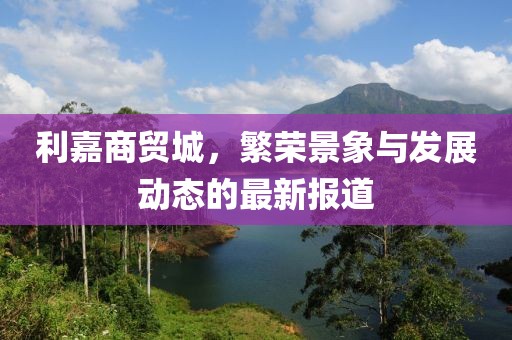 利嘉商贸城，繁荣景象与发展动态的最新报道