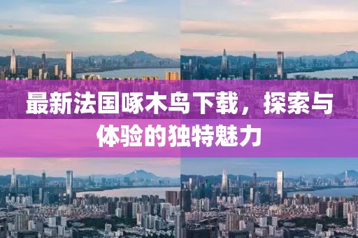 最新法国啄木鸟下载，探索与体验的独特魅力