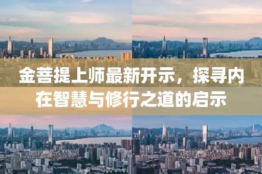金菩提上师最新开示，探寻内在智慧与修行之道的启示