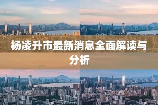杨凌升市最新消息全面解读与分析