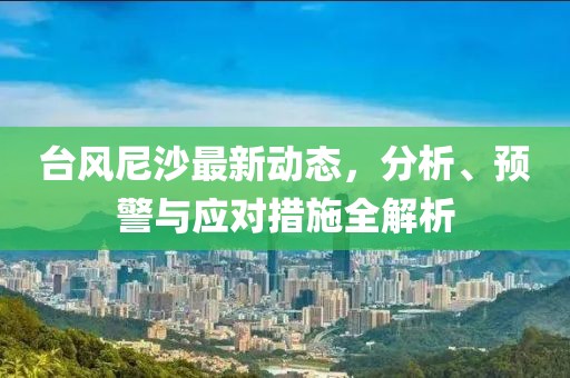 台风尼沙最新动态，分析、预警与应对措施全解析
