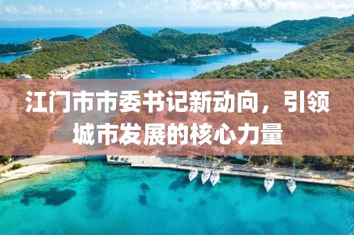 江门市市委书记新动向，引领城市发展的核心力量