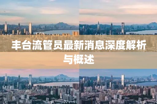 丰台流管员最新消息深度解析与概述