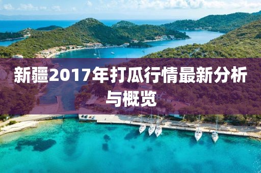 新疆2017年打瓜行情最新分析与概览