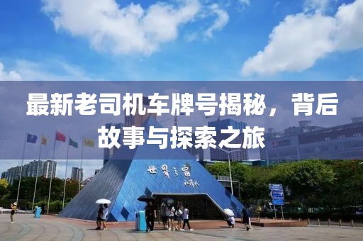 最新老司机车牌号揭秘，背后故事与探索之旅