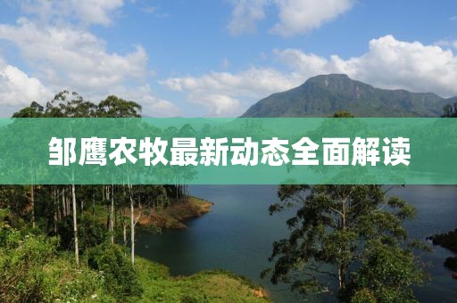 邹鹰农牧最新动态全面解读