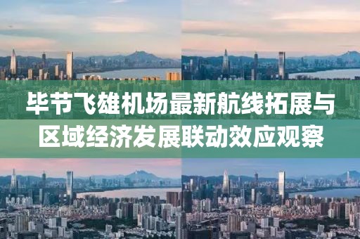 毕节飞雄机场最新航线拓展与区域经济发展联动效应观察
