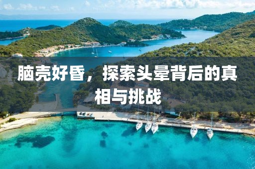 脑壳好昏，探索头晕背后的真相与挑战