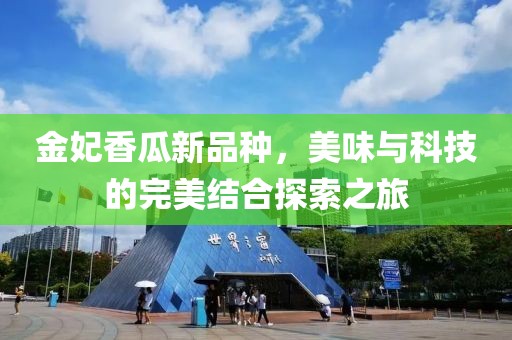 念红颜 第11页