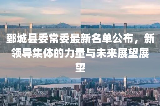鄄城县委常委最新名单公布，新领导集体的力量与未来展望展望