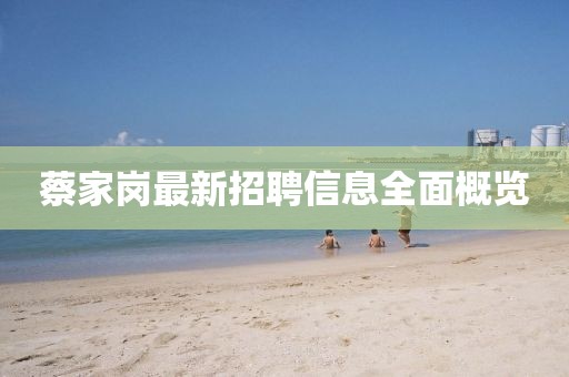 蔡家岗最新招聘信息全面概览