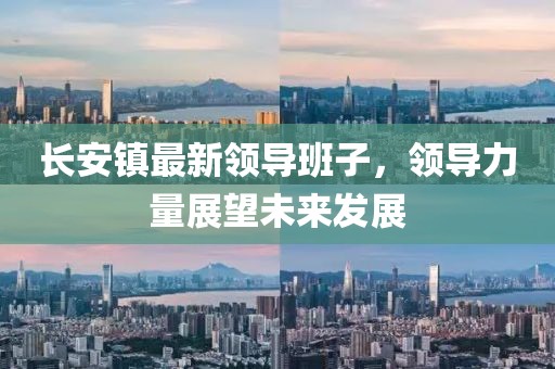 长安镇最新领导班子，领导力量展望未来发展