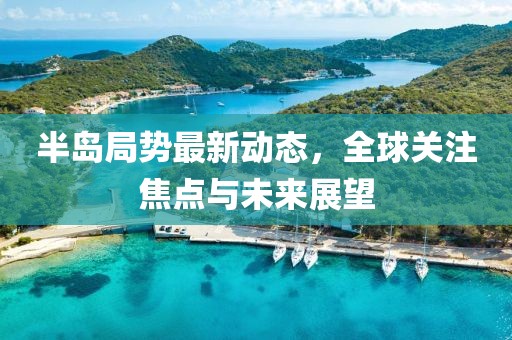半岛局势最新动态，全球关注焦点与未来展望