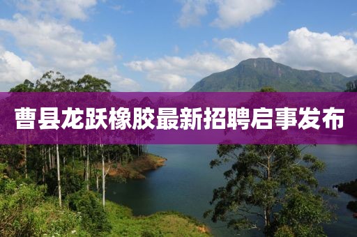 曹县龙跃橡胶最新招聘启事发布