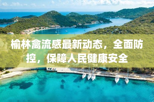 榆林禽流感最新动态，全面防控，保障人民健康安全