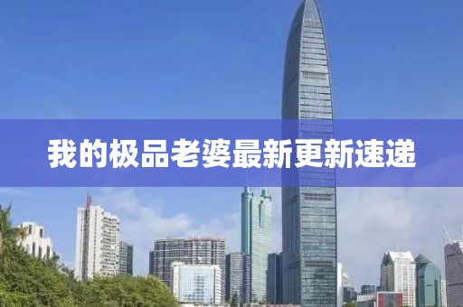 我的极品老婆最新更新速递