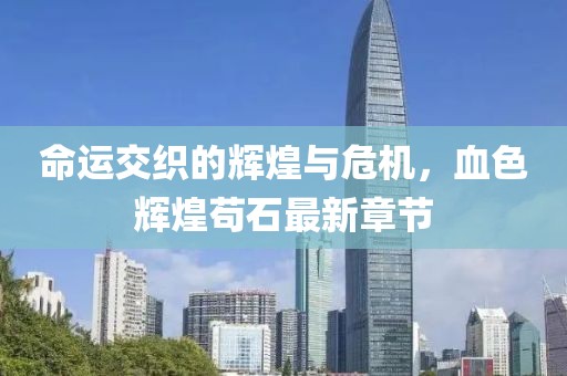 命运交织的辉煌与危机，血色辉煌苟石最新章节