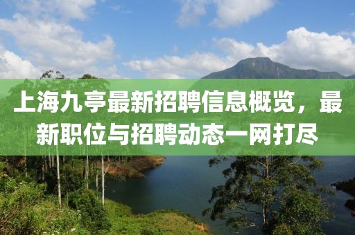 上海九亭最新招聘信息概览，最新职位与招聘动态一网打尽