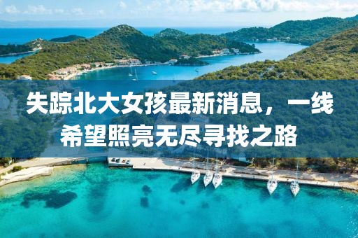 失踪北大女孩最新消息，一线希望照亮无尽寻找之路