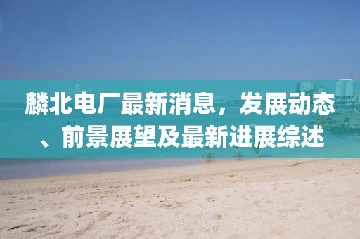 麟北电厂最新消息，发展动态、前景展望及最新进展综述