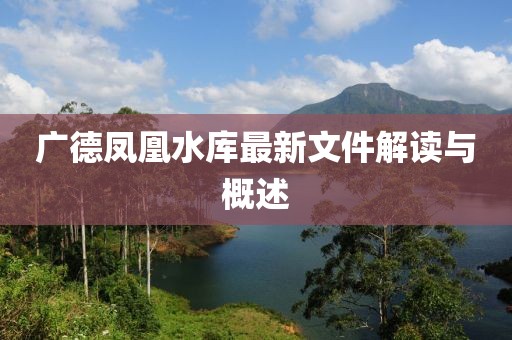 广德凤凰水库最新文件解读与概述