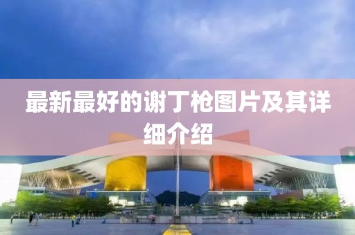 最新最好的谢丁枪图片及其详细介绍