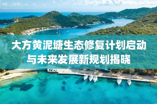 大方黄泥塘生态修复计划启动与未来发展新规划揭晓