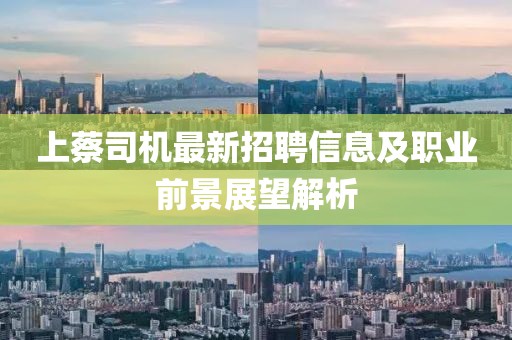 上蔡司机最新招聘信息及职业前景展望解析