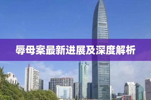 辱母案最新进展及深度解析