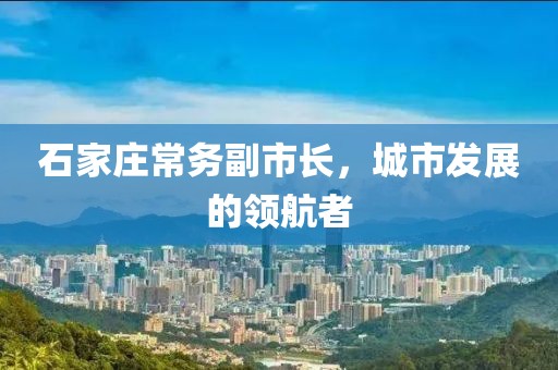 石家庄常务副市长，城市发展的领航者