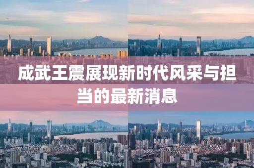 成武王震展现新时代风采与担当的最新消息