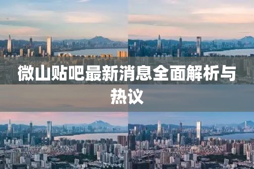 微山贴吧最新消息全面解析与热议