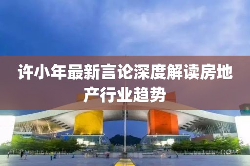 许小年最新言论深度解读房地产行业趋势