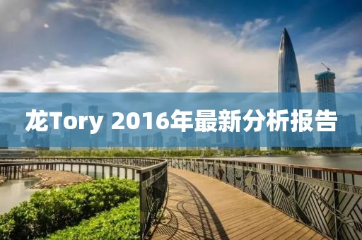 龙Tory 2016年最新分析报告